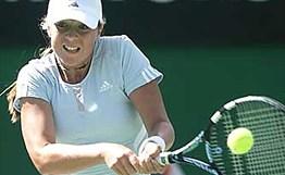 会的核心球 会的核心球